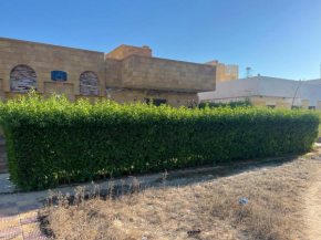زافيرو المهندسين الجامعيين